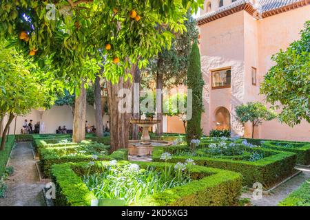 L'un des jardins du complexe du palais de l'Alhambra à Grenade, en Espagne Banque D'Images