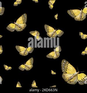 Papillon jaune aquarelle motif un grand noir Banque D'Images