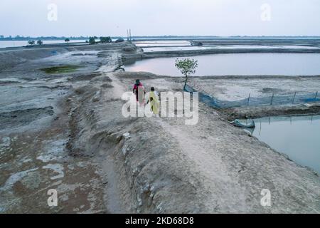 Effet de salinité vu dans le sol en conséquence, les arbres sont morts après le coup d'amphan Cyclone à Satkhira, Bangladesh sur 26 mars 2022. (Photo de Kazi Salahuddin Razu/NurPhoto) Banque D'Images