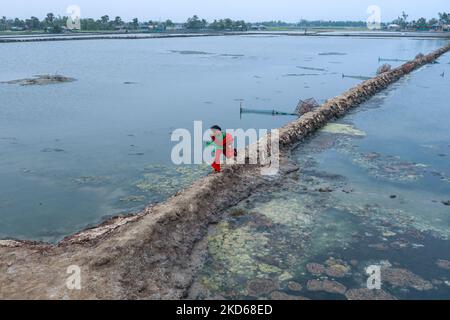 Effet de salinité vu dans le sol en conséquence, les arbres sont morts après le coup d'amphan Cyclone à Satkhira, Bangladesh sur 26 mars 2022. (Photo de Kazi Salahuddin Razu/NurPhoto) Banque D'Images