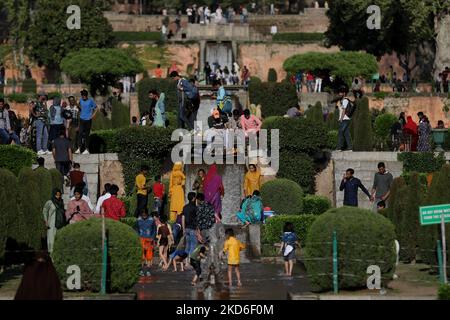 Une forte affluence de touristes est vue au jardin de Nishat à Srinagar, Jammu-et-Cachemire, Inde, le 01 avril 2022. (Photo de Nasir Kachroo/NurPhoto) Banque D'Images