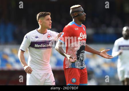 Victor Osimhen de SSC Napoli pendant la série Un match entre SSC Napoli et ACF Fiorentina au Stadio Diego Armando Maradona Naples Italie le 10 avril 2022. (Photo de Franco Romano/NurPhoto) Banque D'Images