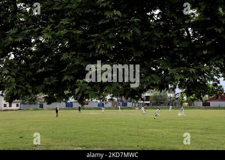 Les garçons de Kashmiri jouent au cricket alors que les feuilles d'un arbre de chinar sont vues à la limite du terrain à Sopore, Baramulla, Jammu et Cachemire, Inde, le 15 avril 2022. (Photo de Nasir Kachroo/NurPhoto) Banque D'Images