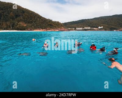 Groupe de touristes sont plongée avec tuba avec les tortues à Pulau Redang. Des gens heureux. Banque D'Images