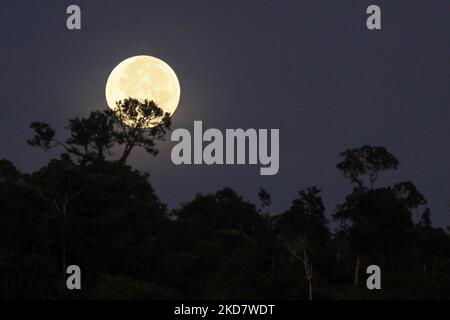 La vue de la superlune vue au lever du soleil, également connue sous le nom de lune rose super, est vue dans le ciel au-dessus de la région du Mont Salak, au nord d'Aceh, sur 17 avril 2022, dans la province d'Aceh, Indonésie. (Photo de Fachrul Reza/NurPhoto) Banque D'Images