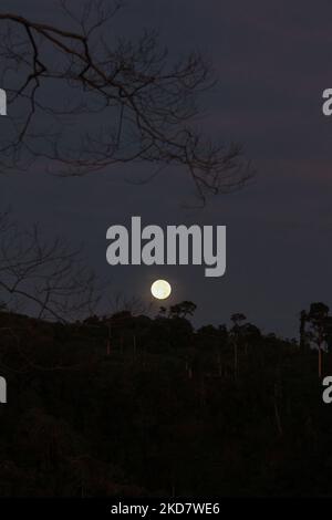 La vue de la superlune vue au lever du soleil, également connue sous le nom de lune rose super, est vue dans le ciel au-dessus de la région du Mont Salak, au nord d'Aceh, sur 17 avril 2022, dans la province d'Aceh, Indonésie. (Photo de Fachrul Reza/NurPhoto) Banque D'Images