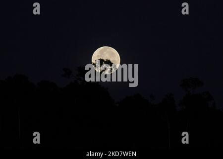 La vue de la superlune vue au lever du soleil, également connue sous le nom de lune rose super, est vue dans le ciel au-dessus de la région du Mont Salak, au nord d'Aceh, sur 17 avril 2022, dans la province d'Aceh, Indonésie. (Photo de Fachrul Reza/NurPhoto) Banque D'Images