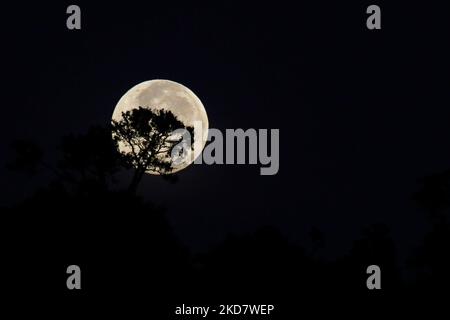 La vue de la superlune vue au lever du soleil, également connue sous le nom de lune rose super, est vue dans le ciel au-dessus de la région du Mont Salak, au nord d'Aceh, sur 17 avril 2022, dans la province d'Aceh, Indonésie. (Photo de Fachrul Reza/NurPhoto) Banque D'Images