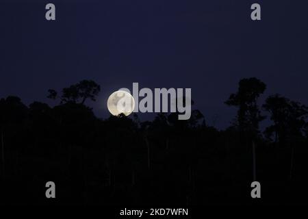 La vue de la superlune vue au lever du soleil, également connue sous le nom de lune rose super, est vue dans le ciel au-dessus de la région du Mont Salak, au nord d'Aceh, sur 17 avril 2022, dans la province d'Aceh, Indonésie. (Photo de Fachrul Reza/NurPhoto) Banque D'Images