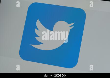 Dans cette illustration, le logo Twitter du réseau social de microblogging est affiché sur l'écran d'un ordinateur sur 25 avril 2022 à New York, Etats-Unis. Le conseil d'administration de Twitter a accepté une offre du milliardaire Elon Musk d'acheter la société de médias sociaux et de la rendre privée, a annoncé la société lundi. (Photo de John Nacion/NurPhoto) Banque D'Images