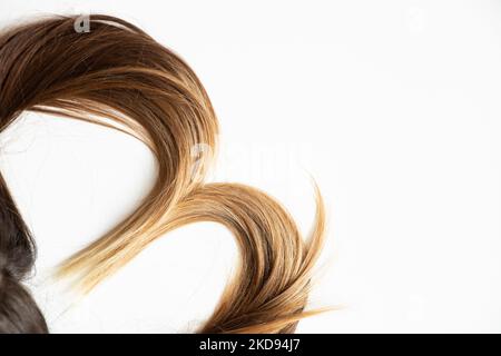 Cheveux teints bruns pour femmes sur fond blanc, beauté et soins des cheveux Banque D'Images