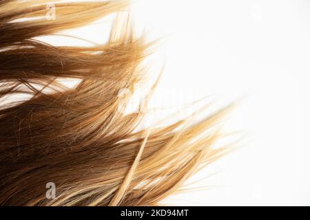 Cheveux teints bruns pour femmes sur fond blanc, beauté et soins des cheveux Banque D'Images