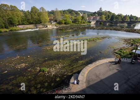 L'ouverture des barrages pour permettre le nettoyage de la rivière po de l'accumulation d'algues dans la zone centrale de Turin crée une situation irréelle avec la rivière presque complètement sèche. La pénurie d'eau du fleuve po n'a pas été atténuée par les premières pluies de printemps faibles. Après une période de sécheresse constante, le fleuve po et son bassin ont un débit d'eau inférieur à la moitié de la normale. Les prévisions à long terme n'indiquent pas qu'à court terme, le temps changera avec les précipitations persistantes. La sécheresse n'est pas un phénomène inhabituel, mais la fréquence avec laquelle elle se reproduit ces dernières années est Banque D'Images