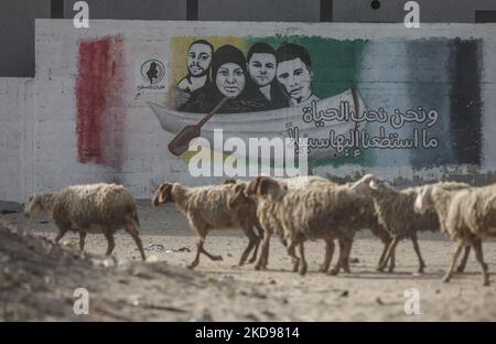 Des moutons marchent dans une rue du camp de réfugiés de Deir al-Balah, dans le centre de la bande de Gaza, à 5 mai 2022. (Photo de Majdi Fathi/NurPhoto) Banque D'Images