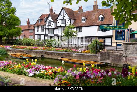 Westgate Punts, Westgate Gardens et Great Stour River, Canterbury, Angleterre, Royaume-Uni Banque D'Images