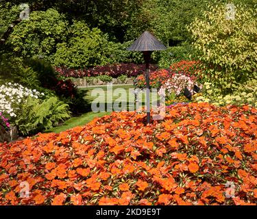 Magnifique jardin dans les célèbres jardins Buchart, fleurs orange brillantes et un support de lampe en métal avec une ombre en forme de champignon, fond d'arbre vert. Banque D'Images