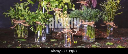 Cuisine encore vie dans les couleurs sombres - une vue de bunches de jardin frais herbes culinaires debout dans des pots avec de l'eau sur la table Banque D'Images