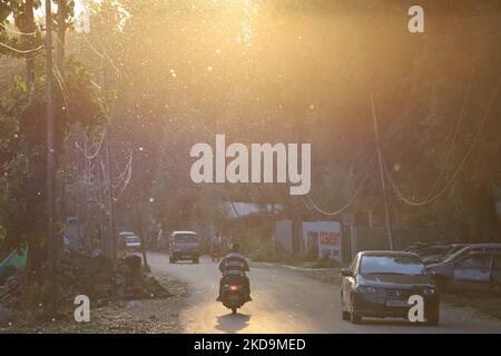 Le 10 mai 2022, un homme marche en brise et transporte des vagues de pollen de peuplier russe féminin frais à Sopore, district de Baramulla Jammu-et-Cachemire en Inde. œPollen l'allergie est un danger saisonnier pour la santé au Cachemire pendant les mois de printemps. Les symptômes vont de l'irritation nasale ou des brûlures, des yeux aqueux et des rougeurs et des éruptions cutanées (photo de Nasir Kachroo/NurPhoto) Banque D'Images