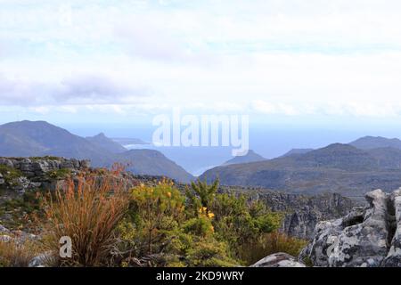 Une vue générale des sauts arrière de Table Mountain vus dans la lumière du soir. Le Cap en Afrique du Sud. Banque D'Images