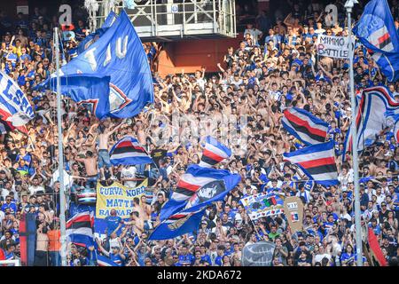 Supporters Sampdoria pendant le football italien série A match UC Sampdoria vs ACF Fiorentina sur 16 mai 2022 au stade Luigi Ferraris de Gênes, Italie (photo de Danilo Vigo/LiveMedia/NurPhoto) Banque D'Images