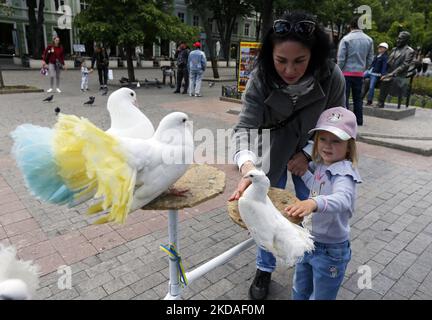 Les gens regardent les pigeons dans une rue, au milieu de l'invasion russe en Ukraine, à Odesa, Ukraine 19 mai 2022. (Photo par STR/NurPhoto) Banque D'Images