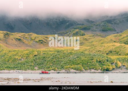 Vue panoramique panoramique sur la Géorgie du Sud, une île rêveuse où les manchots et les éléphants se disent bonne nuit Banque D'Images