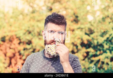 Concept d'arôme naturel. Homme barbu avec fleurs de Marguerite dans la barbe. Homme avec la barbe et la moustache sur le visage strict neige fleur, fond vert, défoqué Banque D'Images
