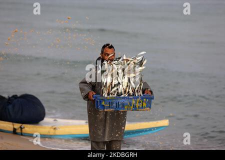 Pêcheur palestinien exposant des poissons dans la mer Méditerranée au large de la côte nord de la bande de Gaza près de la frontière avec Israël, sur 5 juin 2022. (Photo de Majdi Fathi/NurPhoto) Banque D'Images