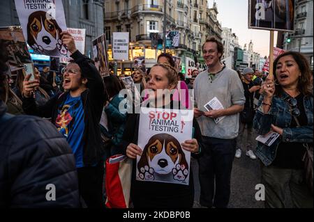 Madrid, Espagne. 05th novembre 2022. Des personnes portant des plaques au cours d'une manifestation contre les essais sur des animaux. Les militants des droits des animaux protestent contre l'expérimentation animale et le cas de Vivotecnia, une société dont le procès est ouvert pour abus d'animaux lors d'expériences d'expérimentation animale. Credit: Marcos del Mazo/Alay Live News Banque D'Images