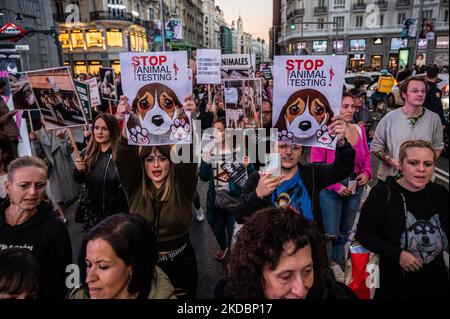 Madrid, Espagne. 05th novembre 2022. Des personnes portant des plaques au cours d'une manifestation contre les essais sur des animaux. Les militants des droits des animaux protestent contre l'expérimentation animale et le cas de Vivotecnia, une société dont le procès est ouvert pour abus d'animaux lors d'expériences d'expérimentation animale. Credit: Marcos del Mazo/Alay Live News Banque D'Images