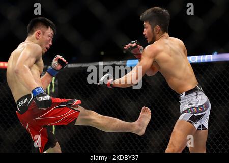 Batgerel Danaa, de Mongolie (L), combat Kyung Ho Kang, de Corée du Sud, dans le combat de bantamweight masculin lors de l’événement UFC 275 au stade intérieur de Singapour sur 12 juin 2022 à Singapour. (Photo de Suhaimi Abdullah/NurPhoto) Banque D'Images