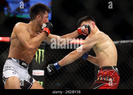 Batgerel Danaa, de Mongolie (R), combat Kyung Ho Kang, de Corée du Sud, dans le combat de bantamweight masculin lors de l’événement UFC 275 au stade intérieur de Singapour sur 12 juin 2022 à Singapour. (Photo de Suhaimi Abdullah/NurPhoto) Banque D'Images