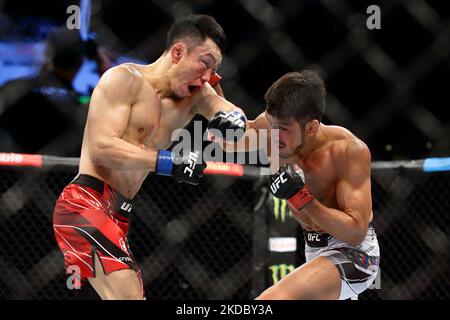 Batgerel Danaa, de Mongolie (L), combat Kyung Ho Kang, de Corée du Sud, dans le combat de bantamweight masculin lors de l’événement UFC 275 au stade intérieur de Singapour sur 12 juin 2022 à Singapour. (Photo de Suhaimi Abdullah/NurPhoto) Banque D'Images