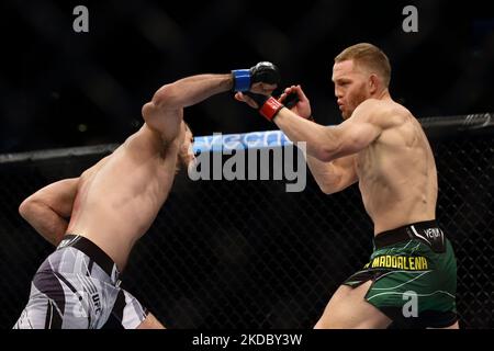 Jack Della Maddalena, d'Australie (R), combat Ramazan Emeev, de Russie, dans le combat de poids-lourd au cours de l'événement UFC 275 au stade intérieur de Singapour sur 12 juin 2022, à Singapour. (Photo de Suhaimi Abdullah/NurPhoto) Banque D'Images