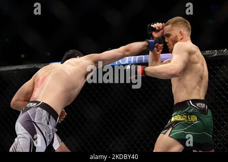 Jack Della Maddalena, d'Australie (R), combat Ramazan Emeev, de Russie, dans le combat de poids-lourd au cours de l'événement UFC 275 au stade intérieur de Singapour sur 12 juin 2022, à Singapour. (Photo de Suhaimi Abdullah/NurPhoto) Banque D'Images