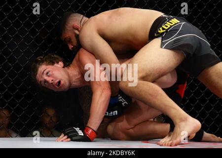 Brendan Allen des États-Unis (en bas) combat Jacob Malkoun de l'Australie dans le Middlewhuit combat de la mens lors de l'événement UFC 275 au stade intérieur de Singapour sur 12 juin 2022 à Singapour. (Photo de Suhaimi Abdullah/NurPhoto) Banque D'Images