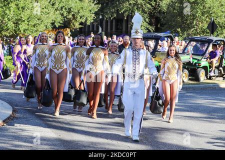 Bâton Rouge, LA, États-Unis. 5th novembre 2022. Le directeur du groupe de LSU est prêt à diriger le bandh vers Victory Hill avant le match de football de la NCAA entre le Tide de Crimson Alabama et les Tigres de LSU au Tiger Stadium de Baton Rouge, LA. Jonathan Mailhes/CSM/Alamy Live News Banque D'Images