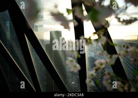 Le gratte-ciel Tower 42 se trouve dans le quartier financier de la ville de Londres, vu par des fenêtres au sommet de la tour St Mary Ax 30, communément appelée le Gherkin, au coucher du soleil à Londres, en Angleterre, sur 12 juin 2022. (Photo de David Cliff/NurPhoto) Banque D'Images