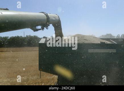 Les agriculteurs ukrainiens récoltent des champs d'orge dans la région d'Odesa, en Ukraine, le 22 juin 2022. 7 millions de tonnes de blé, 14 millions de tonnes de grain de maïs, 3 millions de tonnes d'huile de tournesol et 3 millions de tonnes de farine de tournesol n'ont pas pénétré sur le marché mondial en raison du blocus par la Russie des ports maritimes ukrainiens, cela a conduit à une hausse record des prix du marché mondial et entraînera inévitablement une crise alimentaire mondiale et une hausse de l'inflation, comme les médias l'ont informé. (Photo par STR/NurPhoto) Banque D'Images