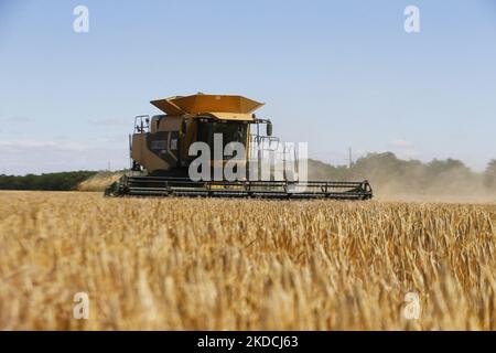 Les agriculteurs ukrainiens récoltent des champs d'orge dans la région d'Odesa, en Ukraine, le 22 juin 2022. 7 millions de tonnes de blé, 14 millions de tonnes de grain de maïs, 3 millions de tonnes d'huile de tournesol et 3 millions de tonnes de farine de tournesol n'ont pas pénétré sur le marché mondial en raison du blocus par la Russie des ports maritimes ukrainiens, cela a conduit à une hausse record des prix du marché mondial et entraînera inévitablement une crise alimentaire mondiale et une hausse de l'inflation, comme les médias l'ont informé. (Photo par STR/NurPhoto) Banque D'Images