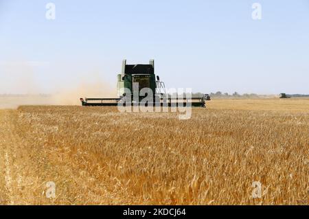 Les agriculteurs ukrainiens récoltent des champs d'orge dans la région d'Odesa, en Ukraine, le 22 juin 2022. 7 millions de tonnes de blé, 14 millions de tonnes de grain de maïs, 3 millions de tonnes d'huile de tournesol et 3 millions de tonnes de farine de tournesol n'ont pas pénétré sur le marché mondial en raison du blocus par la Russie des ports maritimes ukrainiens, cela a conduit à une hausse record des prix du marché mondial et entraînera inévitablement une crise alimentaire mondiale et une hausse de l'inflation, comme les médias l'ont informé. (Photo par STR/NurPhoto) Banque D'Images