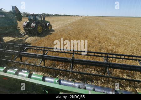 Les agriculteurs ukrainiens récoltent des champs d'orge dans la région d'Odesa, en Ukraine, le 22 juin 2022. 7 millions de tonnes de blé, 14 millions de tonnes de grain de maïs, 3 millions de tonnes d'huile de tournesol et 3 millions de tonnes de farine de tournesol n'ont pas pénétré sur le marché mondial en raison du blocus par la Russie des ports maritimes ukrainiens, cela a conduit à une hausse record des prix du marché mondial et entraînera inévitablement une crise alimentaire mondiale et une hausse de l'inflation, comme les médias l'ont informé. (Photo par STR/NurPhoto) Banque D'Images