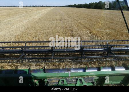 Les agriculteurs ukrainiens récoltent des champs d'orge dans la région d'Odesa, en Ukraine, le 22 juin 2022. 7 millions de tonnes de blé, 14 millions de tonnes de grain de maïs, 3 millions de tonnes d'huile de tournesol et 3 millions de tonnes de farine de tournesol n'ont pas pénétré sur le marché mondial en raison du blocus par la Russie des ports maritimes ukrainiens, cela a conduit à une hausse record des prix du marché mondial et entraînera inévitablement une crise alimentaire mondiale et une hausse de l'inflation, comme les médias l'ont informé. (Photo par STR/NurPhoto) Banque D'Images