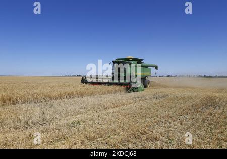 Les agriculteurs ukrainiens récoltent des champs d'orge dans la région d'Odesa, en Ukraine, le 22 juin 2022. 7 millions de tonnes de blé, 14 millions de tonnes de grain de maïs, 3 millions de tonnes d'huile de tournesol et 3 millions de tonnes de farine de tournesol n'ont pas pénétré sur le marché mondial en raison du blocus par la Russie des ports maritimes ukrainiens, cela a conduit à une hausse record des prix du marché mondial et entraînera inévitablement une crise alimentaire mondiale et une hausse de l'inflation, comme les médias l'ont informé. (Photo par STR/NurPhoto) Banque D'Images