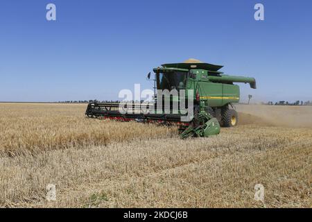 Les agriculteurs ukrainiens récoltent des champs d'orge dans la région d'Odesa, en Ukraine, le 22 juin 2022. 7 millions de tonnes de blé, 14 millions de tonnes de grain de maïs, 3 millions de tonnes d'huile de tournesol et 3 millions de tonnes de farine de tournesol n'ont pas pénétré sur le marché mondial en raison du blocus par la Russie des ports maritimes ukrainiens, cela a conduit à une hausse record des prix du marché mondial et entraînera inévitablement une crise alimentaire mondiale et une hausse de l'inflation, comme les médias l'ont informé. (Photo par STR/NurPhoto) Banque D'Images