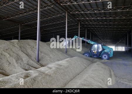 Un agriculteur ukrainien récolte de l'orge après la récolte dans une zone de stockage de céréales située dans la région d'Odesa, en Ukraine, le 22 juin 2022. 7 millions de tonnes de blé, 14 millions de tonnes de grain de maïs, 3 millions de tonnes d'huile de tournesol et 3 millions de tonnes de farine de tournesol n'ont pas pénétré sur le marché mondial en raison du blocus par la Russie des ports maritimes ukrainiens, cela a conduit à une hausse record des prix du marché mondial et entraînera inévitablement une crise alimentaire mondiale et une hausse de l'inflation, comme les médias l'ont informé. (Photo par STR/NurPhoto) Banque D'Images