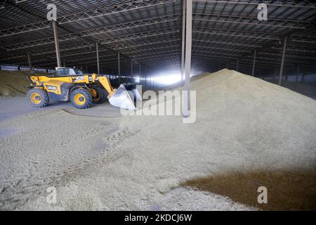 Un agriculteur ukrainien récolte de l'orge après la récolte dans une zone de stockage de céréales située dans la région d'Odesa, en Ukraine, le 22 juin 2022. 7 millions de tonnes de blé, 14 millions de tonnes de grain de maïs, 3 millions de tonnes d'huile de tournesol et 3 millions de tonnes de farine de tournesol n'ont pas pénétré sur le marché mondial en raison du blocus par la Russie des ports maritimes ukrainiens, cela a conduit à une hausse record des prix du marché mondial et entraînera inévitablement une crise alimentaire mondiale et une hausse de l'inflation, comme les médias l'ont informé. (Photo par STR/NurPhoto) Banque D'Images