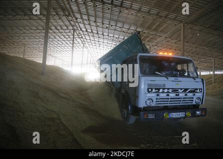 Un chauffeur de camion décharge les céréales d'orge après récolte dans un stockage de céréales dans la région d'Odesa, en Ukraine, le 22 juin 2022. 7 millions de tonnes de blé, 14 millions de tonnes de grain de maïs, 3 millions de tonnes d'huile de tournesol et 3 millions de tonnes de farine de tournesol n'ont pas pénétré sur le marché mondial en raison du blocus par la Russie des ports maritimes ukrainiens, cela a conduit à une hausse record des prix du marché mondial et entraînera inévitablement une crise alimentaire mondiale et une hausse de l'inflation, comme les médias l'ont informé. (Photo par STR/NurPhoto) Banque D'Images