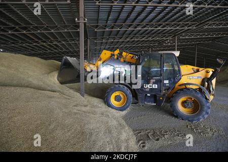 Un agriculteur ukrainien récolte de l'orge après la récolte dans une zone de stockage de céréales située dans la région d'Odesa, en Ukraine, le 22 juin 2022. 7 millions de tonnes de blé, 14 millions de tonnes de grain de maïs, 3 millions de tonnes d'huile de tournesol et 3 millions de tonnes de farine de tournesol n'ont pas pénétré sur le marché mondial en raison du blocus par la Russie des ports maritimes ukrainiens, cela a conduit à une hausse record des prix du marché mondial et entraînera inévitablement une crise alimentaire mondiale et une hausse de l'inflation, comme les médias l'ont informé. (Photo par STR/NurPhoto) Banque D'Images