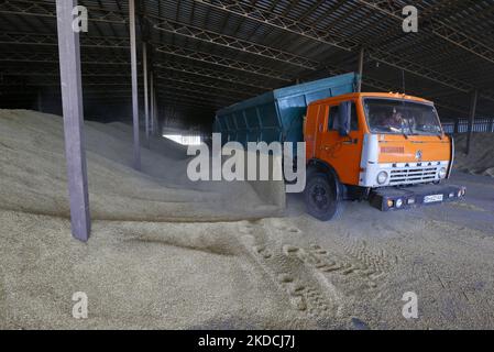 Un chauffeur de camion décharge les céréales d'orge après récolte dans un stockage de céréales dans la région d'Odesa, en Ukraine, le 22 juin 2022. 7 millions de tonnes de blé, 14 millions de tonnes de grain de maïs, 3 millions de tonnes d'huile de tournesol et 3 millions de tonnes de farine de tournesol n'ont pas pénétré sur le marché mondial en raison du blocus par la Russie des ports maritimes ukrainiens, cela a conduit à une hausse record des prix du marché mondial et entraînera inévitablement une crise alimentaire mondiale et une hausse de l'inflation, comme les médias l'ont informé. (Photo par STR/NurPhoto) Banque D'Images